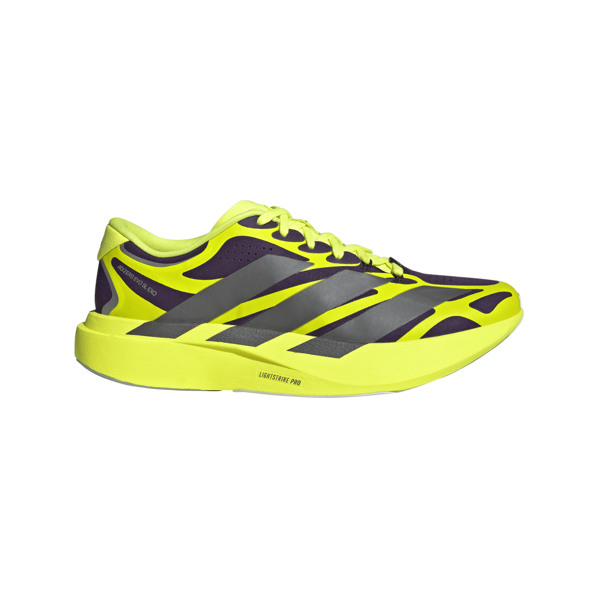 adidas ADIZERO EVO SL EXO（Men's）オーロラプラム/アイアン
