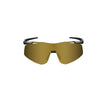 Glossy Black Frame/Anti-fog Gold Mirror Photochromic Lens & Night Vision Clear lens
