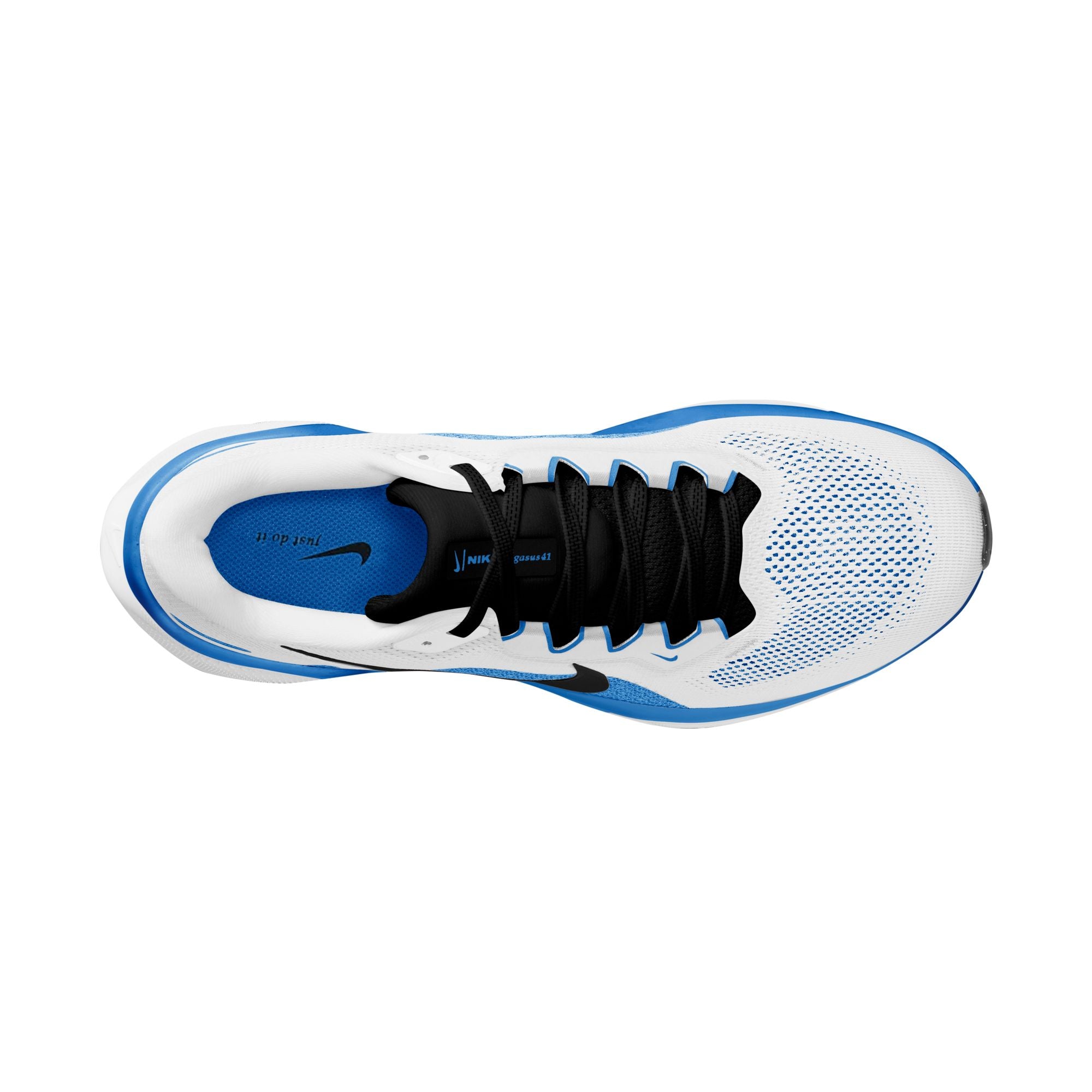 NIKE Pegasus 41 (Men's)