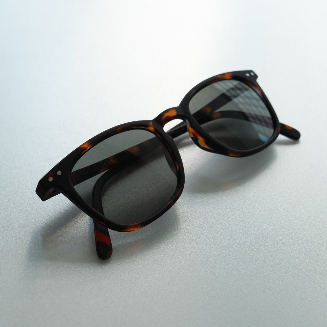 IZIPIZI SUN #E (Tortoise)