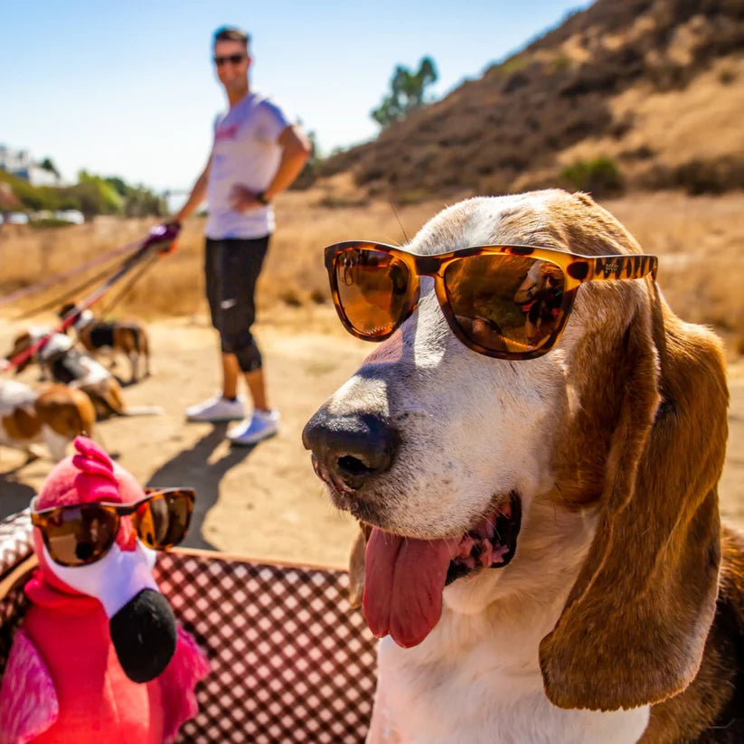 goodr 【OGs】BOSLEY’S BASSET HOUND DREAMS