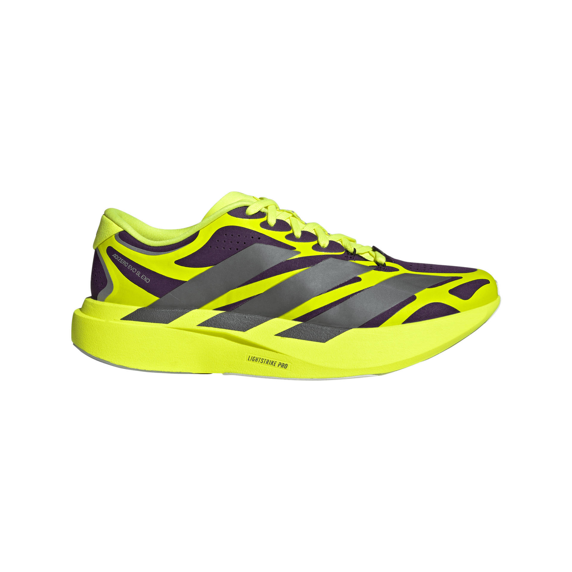 adidas ADIZERO EVO SL EXO（Men's）オーロラプラム/アイアン