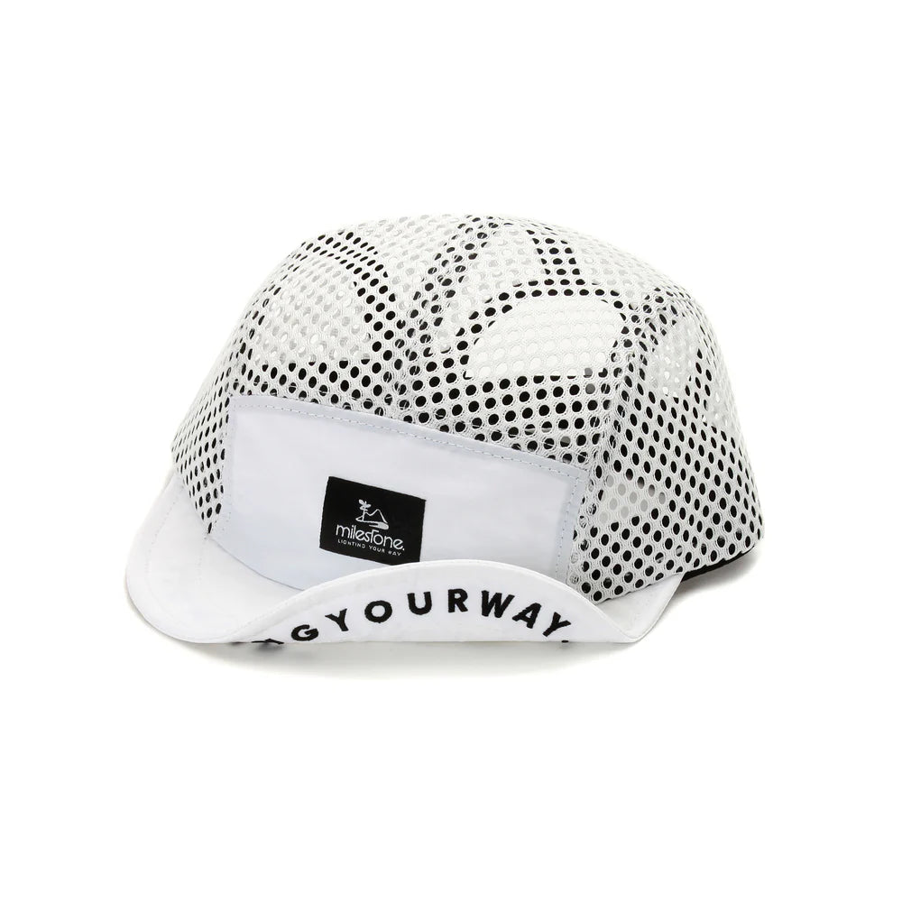 milestone  Original Cap MSC-013