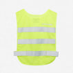 Fluorescent Yellow