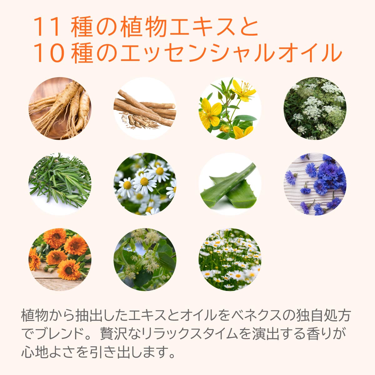 VENEX バイタライズゲル ＜ボディマッサージジェルクリーム＞