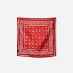 Paisley/Red