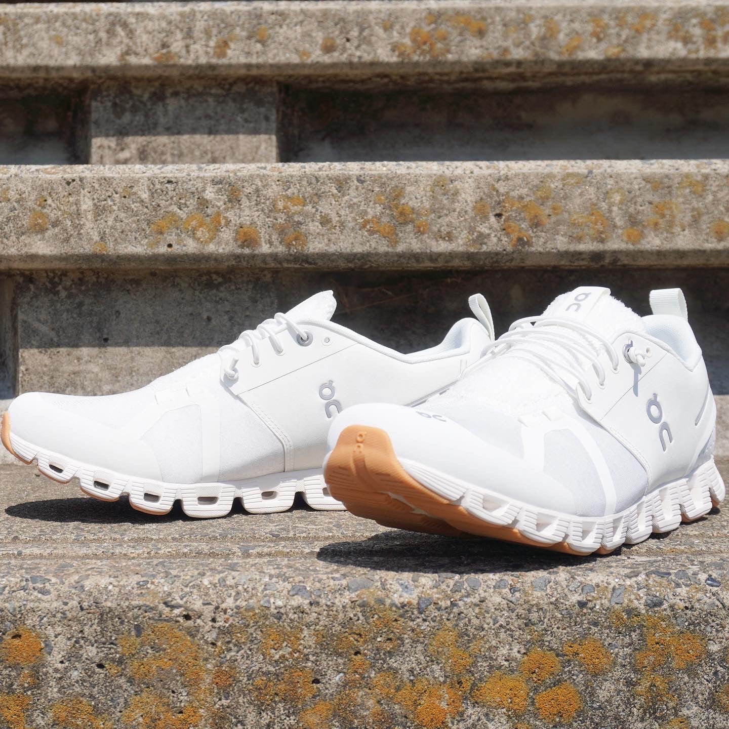 On Cloud Terry White